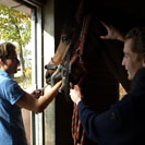 SERVICES & PROCEDURES